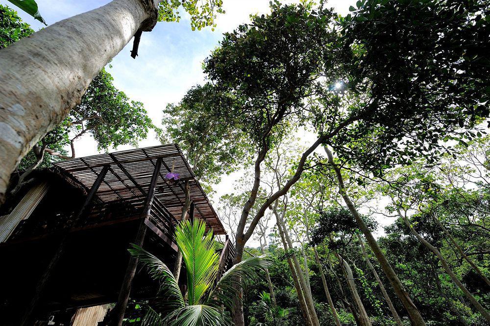 Phi Phi Banyan Villa Extérieur photo